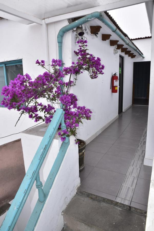 Red Llama Eco Hostel Lima Extérieur photo